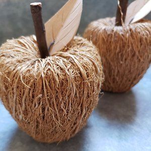 Decorative Fruit Set of 2 Apples